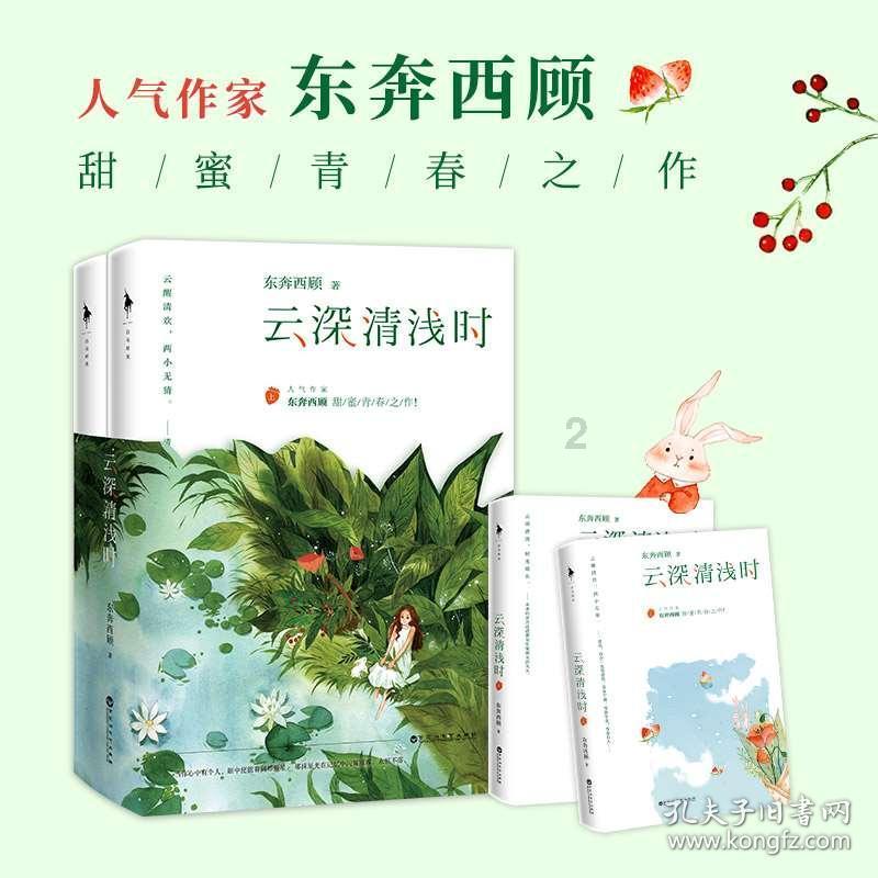 东莞市长吕成蹊：以头号力度推进“百千万工程”