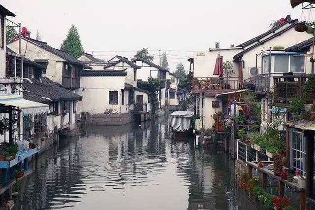 (新春走基层)北纬41°,中国北方县城以黄芪为媒拓知名度